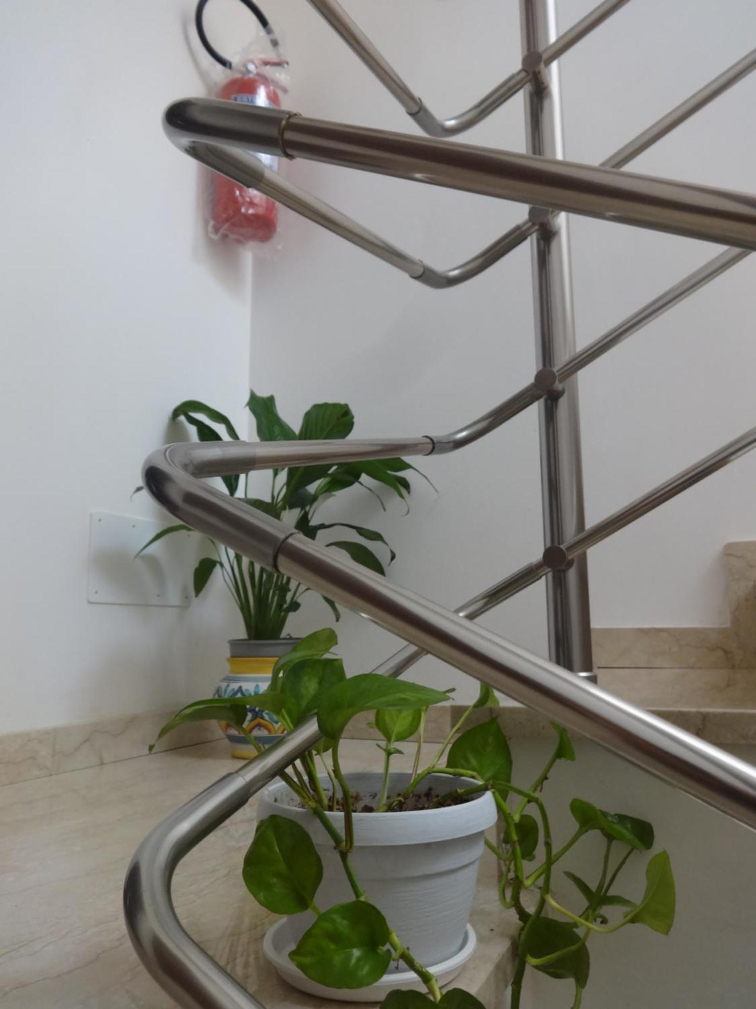 Calliope Trapani Luaran gambar
